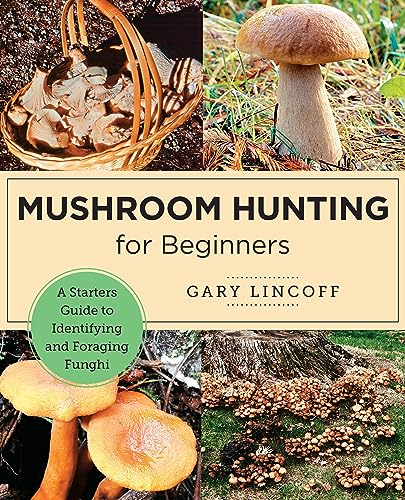 Stock image for Mushroom Hunting for Beginners: A Starter's Guide to Identifying and Foraging Fungi (New Shoe Press) for sale by Half Price Books Inc.