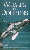 Imagen de archivo de Whales and Dolphins a la venta por SecondSale