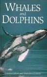 Stock image for WHALES AND DOLPHINS for sale by Virginia Martin, aka bookwitch