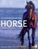 Stock image for Encyclopedia of the Horse for sale by Better World Books: West