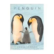 Beispielbild fr Penguin zum Verkauf von Wonder Book