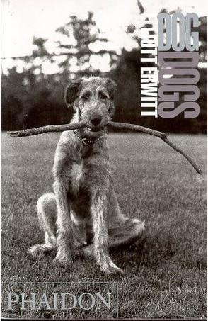 Beispielbild fr Dog Dogs by Elliott Erwitt (2002) Hardcover zum Verkauf von Goodwill of Colorado