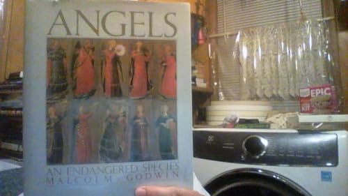 9780760727447: Angels: An endangered species [Hardcover] by Godwin, Malcolm