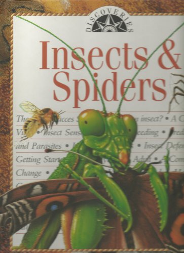 Imagen de archivo de Insects & Spiders (Discoveries) a la venta por Better World Books