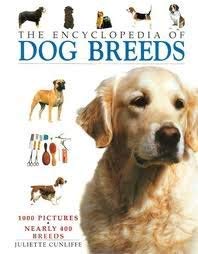Stock image for The Encyclopedia of Dog Breeds for sale by HPB-Ruby