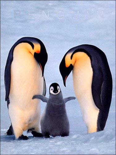 Lanting Penguin (9780760780374) by Frans Lanting