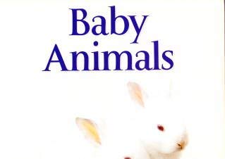 9780760793947: Baby Animals