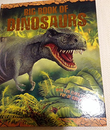 Stock image for Big Book of Dinosaurs for sale by BombBooks