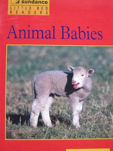 Imagen de archivo de Animal Babies a la venta por Your Online Bookstore