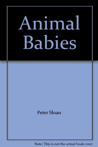 Stock image for Animal Babies for sale by Wonder Book