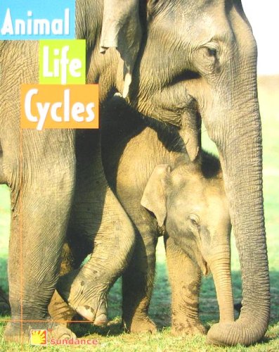 Stock image for Animal Life Cycles (Reading Powerworks Science) for sale by Wonder Book