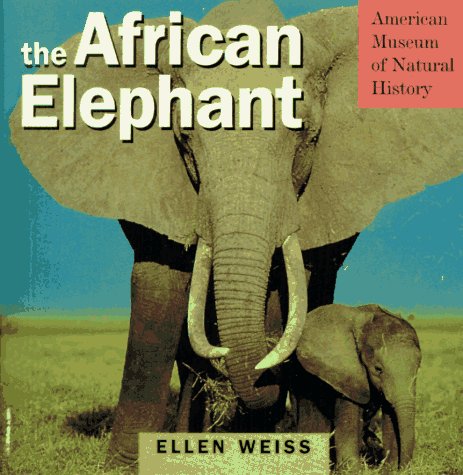 9780761104520: The African Elephant & Diorama