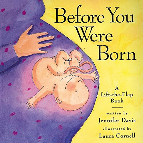 9780761112006: Before You Were Born: A Lift-The-Flap Book