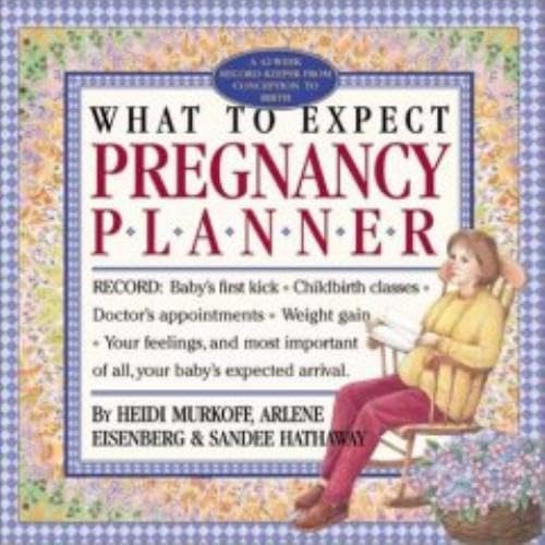 Beispielbild fr What to Expect Pregnancy Planner zum Verkauf von HPB-Diamond