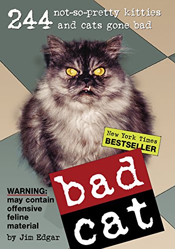 Stock image for Bad Cat: 244 Not-So-Pretty Kitties and Cats Gone Bad for sale by Gulf Coast Books