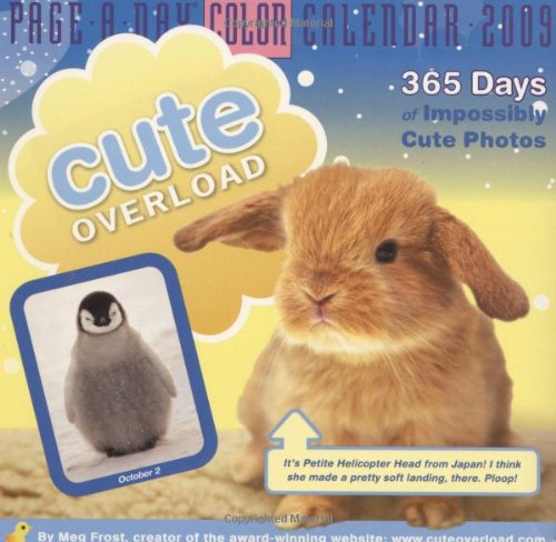 9780761150572: Cute Overload Page-a-Day Calendar 2009 (Colour Page a Day Calendars)