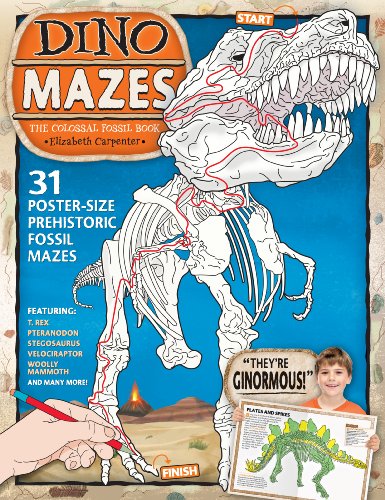 Stock image for DinoMazes: The Colossal Fossil Book for sale by SecondSale