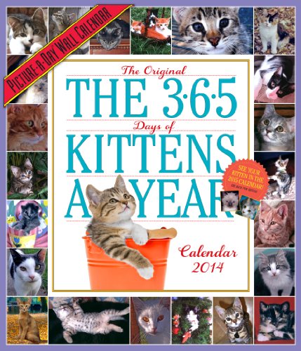 9780761173106: 365 Days Of Kittens-A-Year 2014 Calendar