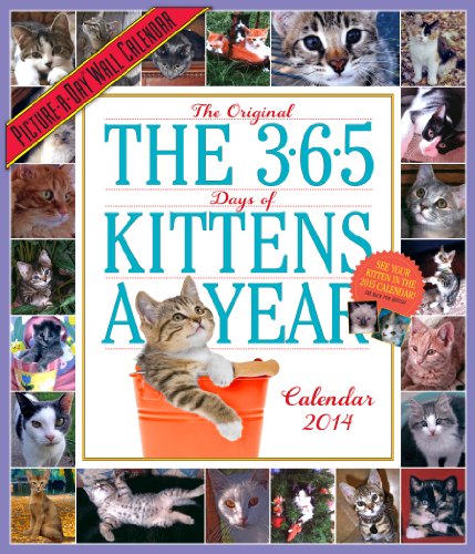 9780761173106: 365 Kittens-a-Year 2014 Wall Calendar