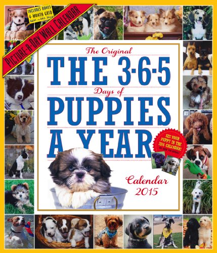 9780761179139: The 365 Puppies-A-Year 2015 Wall Calendar