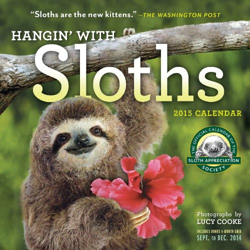 9780761179245: Hangin' with Sloths Calendar