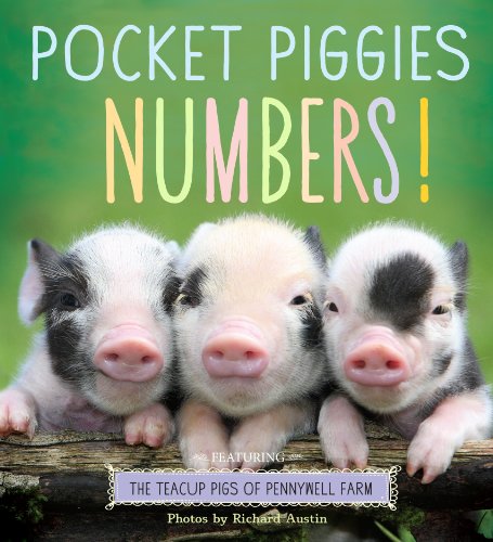 9780761179795: Pocket Piggies Numbers!: Featuring the Teacup Pigs of Pennywell Farm