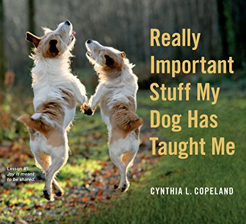 9780761181798: Really Important Stuff My Dog Has Taught Me