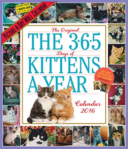 9780761183525: The 365 Days of Kittens a Year 2016 Calendar