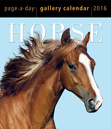 9780761183587: Horse 2016 Gallery Calendar