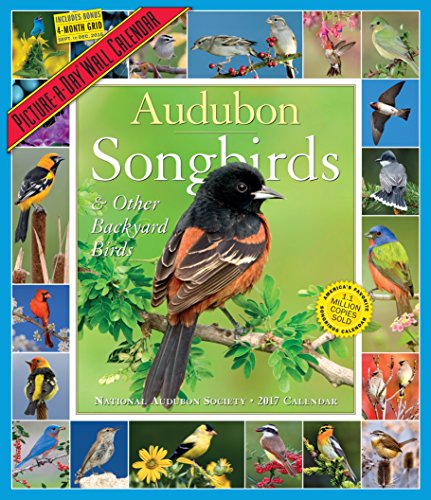 9780761190080: Audubon Songbirds & Other Backyard Birds Picture-A-Day Wall Calendar 2017