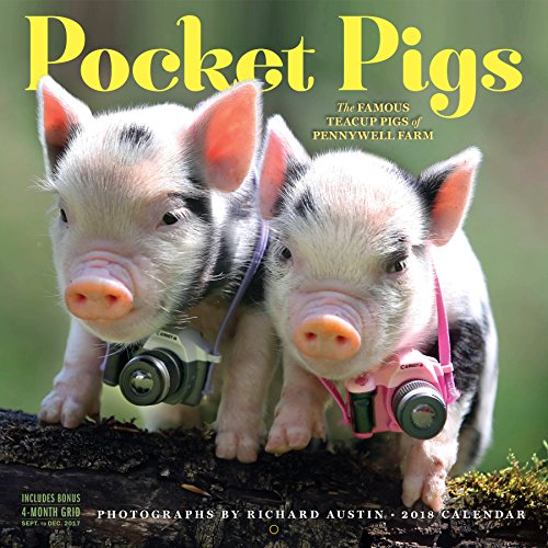 Pocket Pigs Wall Calendar 2018 By Austin Richard Workman