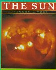 The Sun (9780761301608) by Vogt, Gregory