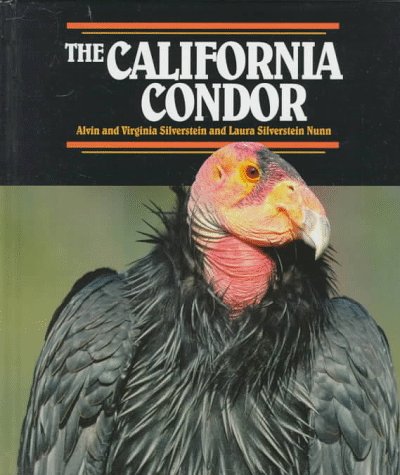 Beispielbild fr The California Condor (Endangered in America) zum Verkauf von SecondSale