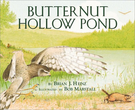 Stock image for Butternut Hollow Pond for sale by Your Online Bookstore