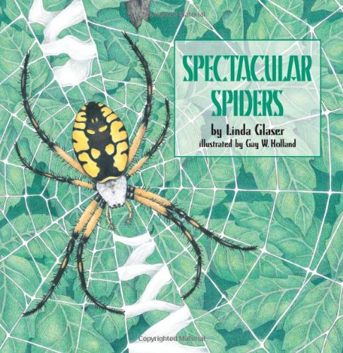 Stock image for Spectacular Spiders for sale by Better World Books
