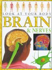 Beispielbild fr Brain and Nerves (Look at Your Body) zum Verkauf von Once Upon A Time Books