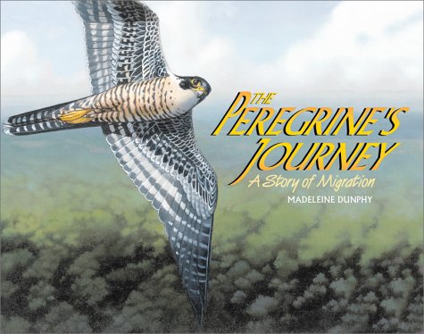 Beispielbild fr The Peregrine's Journey: A Story of Migration zum Verkauf von Ergodebooks