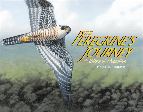 Beispielbild fr The Peregrine's Journey : A Story of Migration zum Verkauf von Better World Books