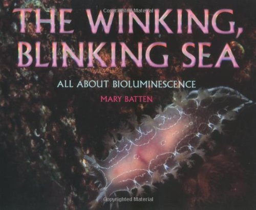 Stock image for Winking, Blinking Sea for sale by HPB-Ruby