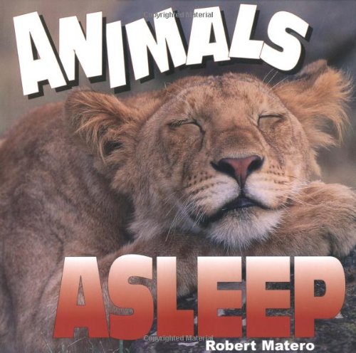 Imagen de archivo de Animals Asleep a la venta por Better World Books