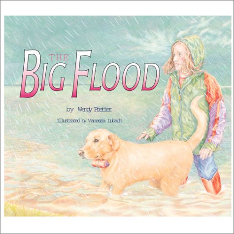 Stock image for The Big Flood for sale by Better World Books