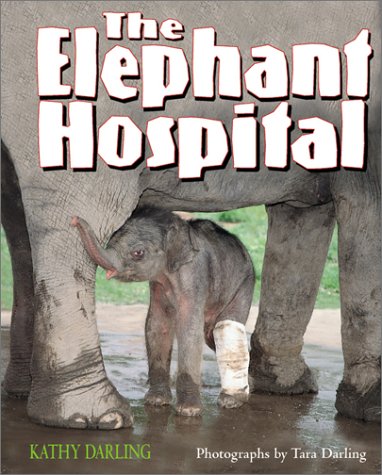 Beispielbild fr The Elephant Hospital zum Verkauf von Better World Books: West