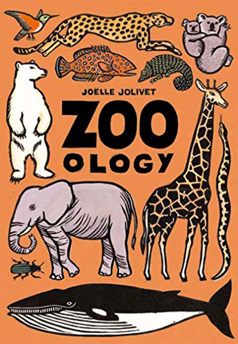 Beispielbild fr Zoo - Ology zum Verkauf von TextbookRush