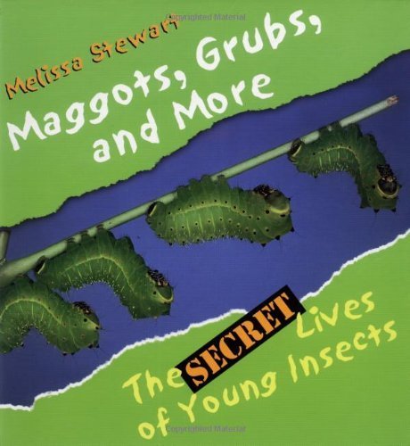 Beispielbild fr Maggots, Grubs, and More : The Secret Lives of Young Insects zum Verkauf von Better World Books