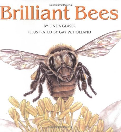 9780761326700: Brilliant Bees