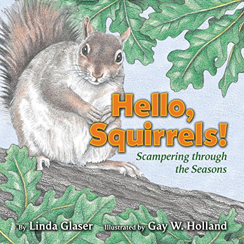 Stock image for Hello, Squirrels! : Scampering Through the Seasons for sale by Better World Books