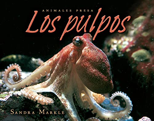 Beispielbild fr Los pulpos (Octopuses) (Animales presa (Animal Prey)) (Spanish Edition) zum Verkauf von HPB-Movies