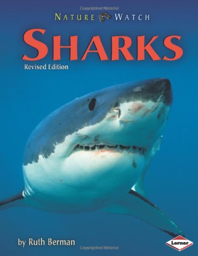 Stock image for Sharks for sale by Better World Books