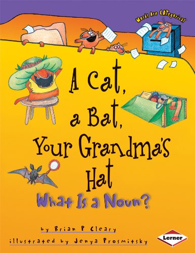 Imagen de archivo de A Cat, a Bat, Your Grandma's Hat: What is a Noun?: What Is a Noun? (Words are CATegorical): No. 1 a la venta por WorldofBooks