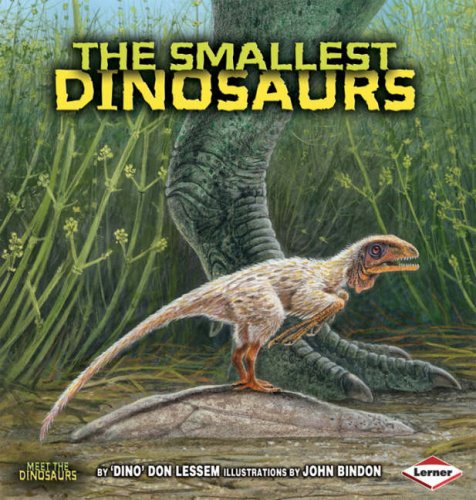 Stock image for The Smallest Dinosaurs (Meet the Dinosaurs): No. 16 for sale by WorldofBooks